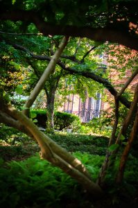 2019_Baker_Hunt_Campus_Arney-41