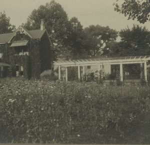 BH grounds