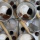 Black Cocoa Prep