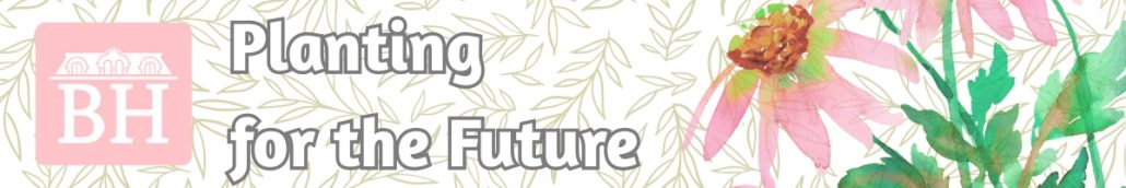 Planting for the Future Web Banner